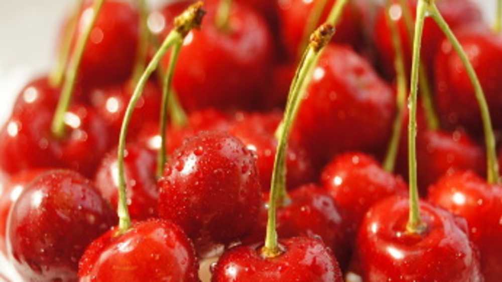 Rasch Cherries Michigan