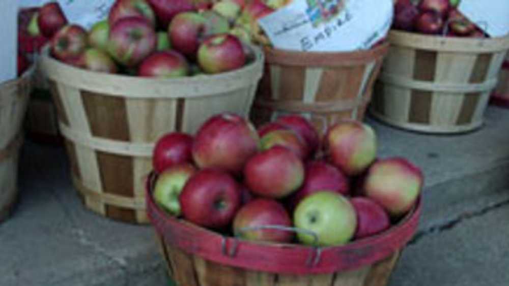 Twin Maple Orchards Michigan