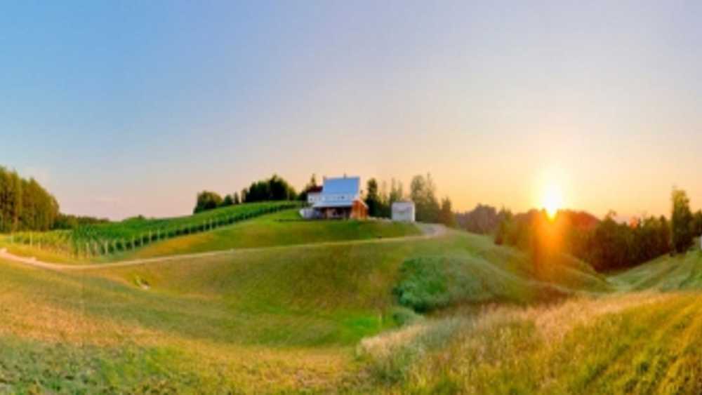 Brengman Brothers Crain Hill Vineyards Michigan