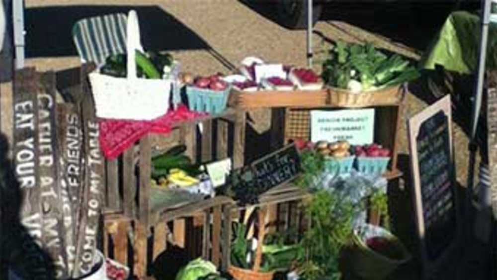 Edmore Farmers Market Michigan