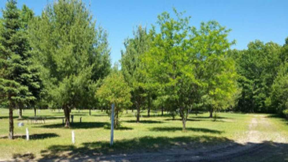 Secord Lake Campground Michigan