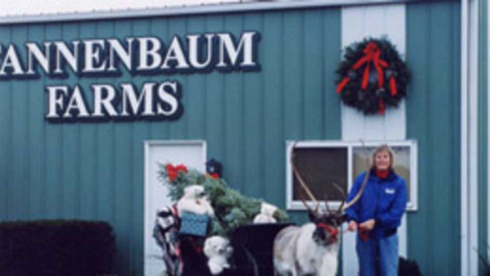 Tannenbaum Farms Michigan