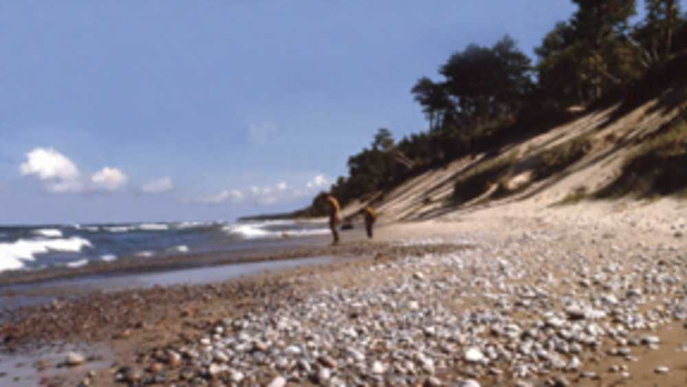 Twelvemile Beach Campground Michigan