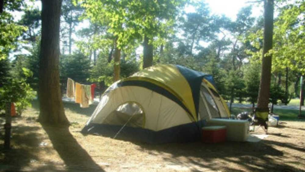 cartier park ludington michigan