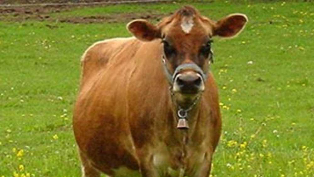 Creswick Farms Michigan