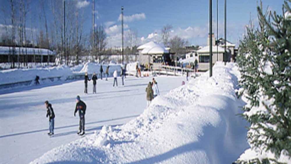 Ice Rink At Millennium Park Michigan