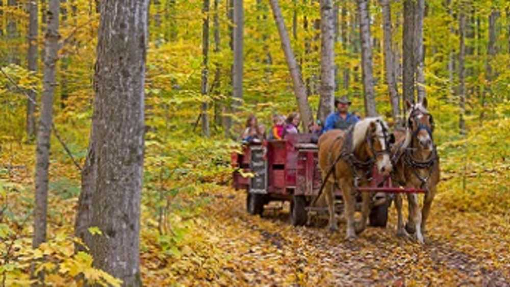 Knaebe S Mmmunchy Krunchy Apple Farm Michigan