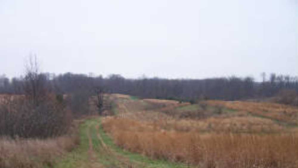 Hills Hills