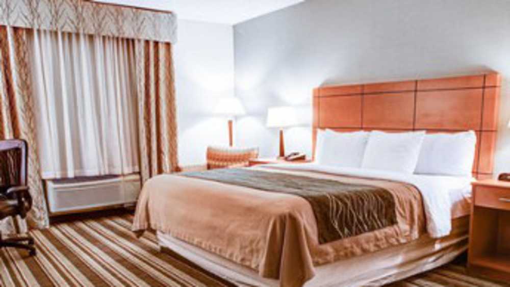 Comfort Inn Detroit Airport - COMFORT