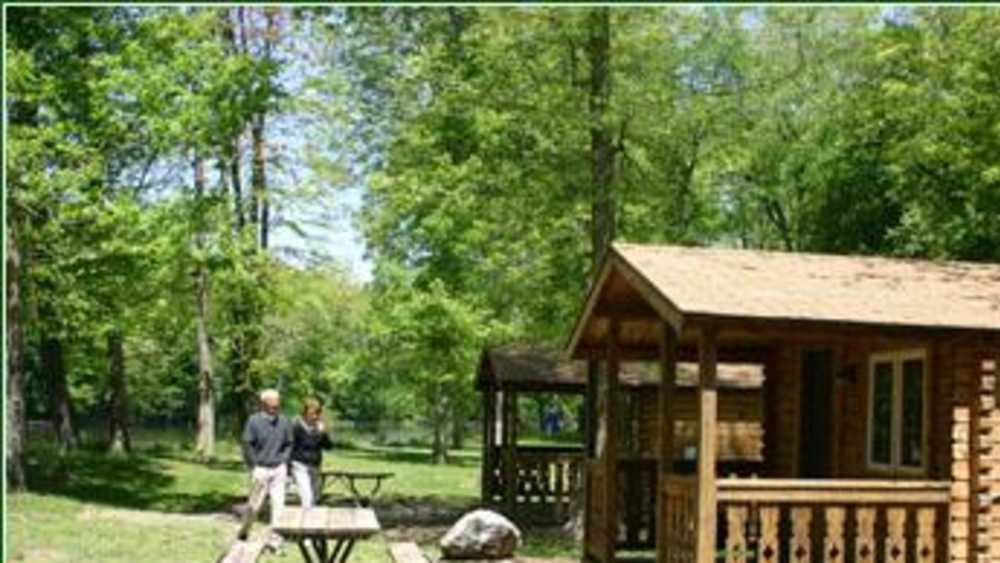 Shamrock Park Michigan