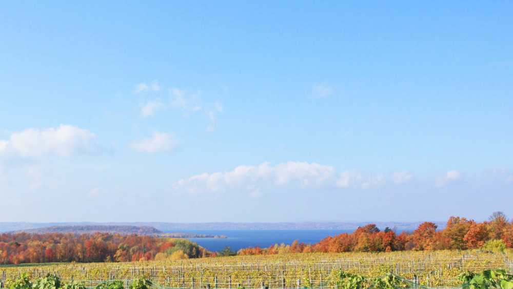 Chateau Grand Traverse Michigan