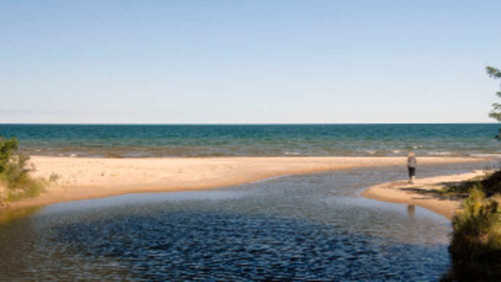 Cozy Cove Resort Michigan