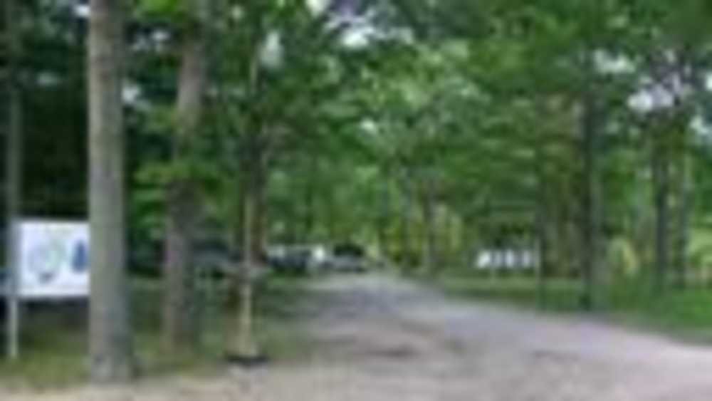 Red Pines Campground Michigan