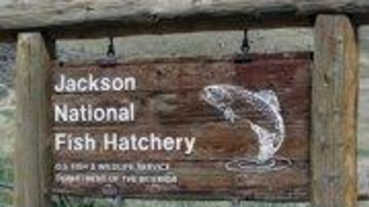 Jackson National Fish Hatchery Jackson Travel Wyoming. That's WY