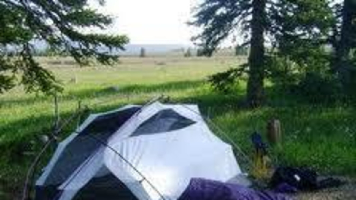 Middle Fork Campground Bighorn National Forest Buffalo Travel