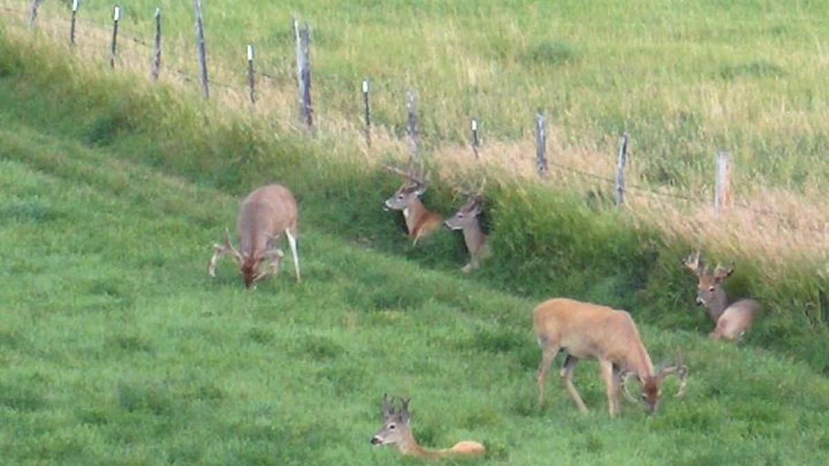 Oasis Motel Amp Rv Park Meeteetse Travel Wyoming That S Wy