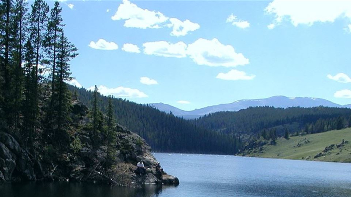 Tie Hack Campground Bighorn National Forest Buffalo Travel