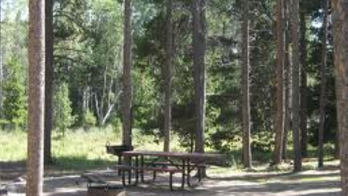 Tie Hack Campground Bighorn National Forest Buffalo Travel