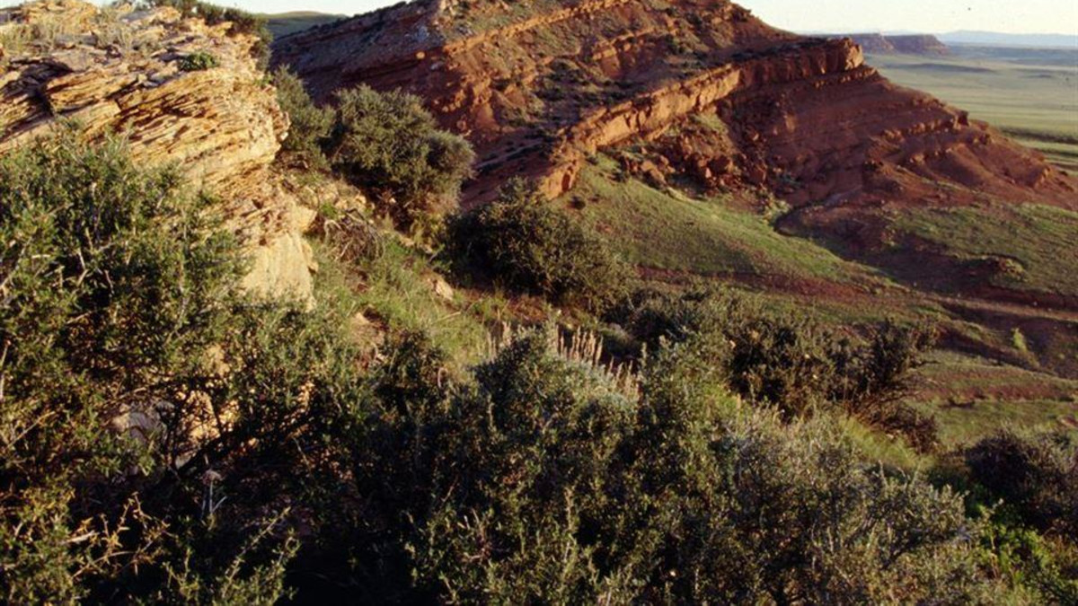 black hills national forest hotels