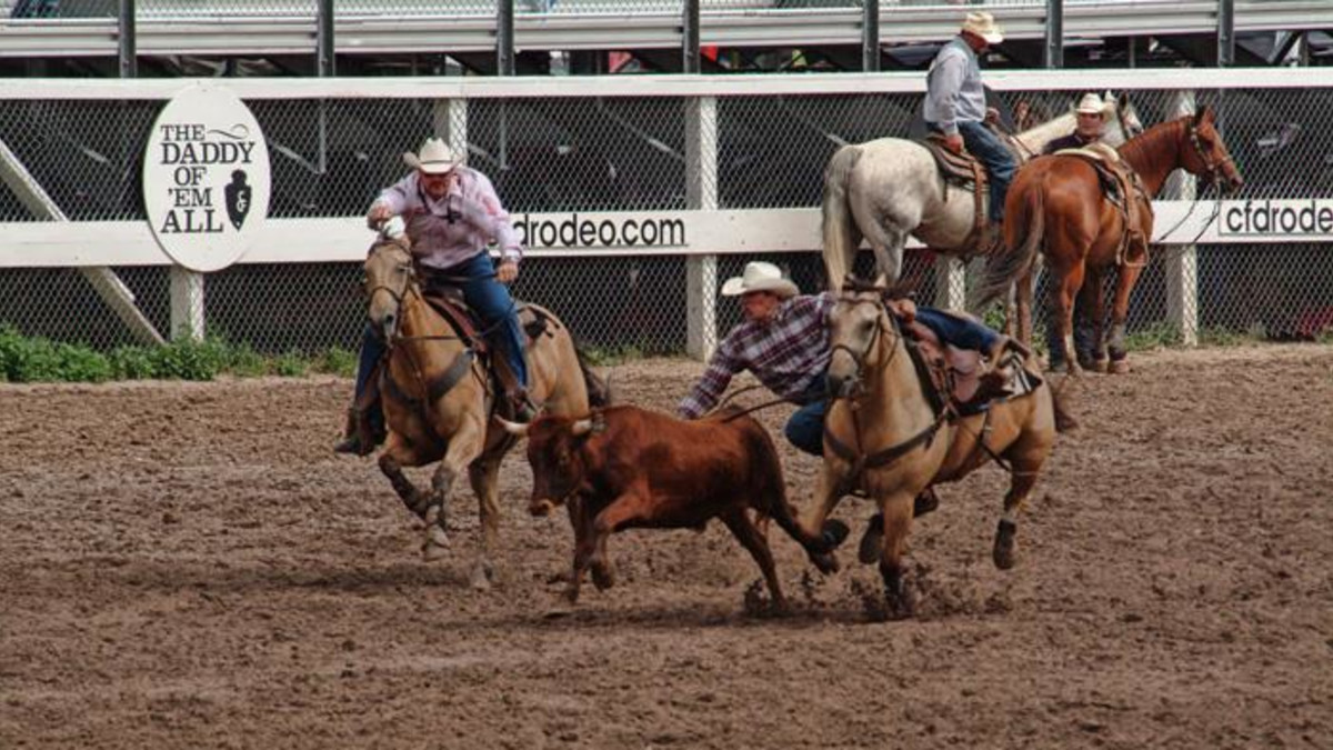 cheyenne wyoming frontier days 1970s chariot races