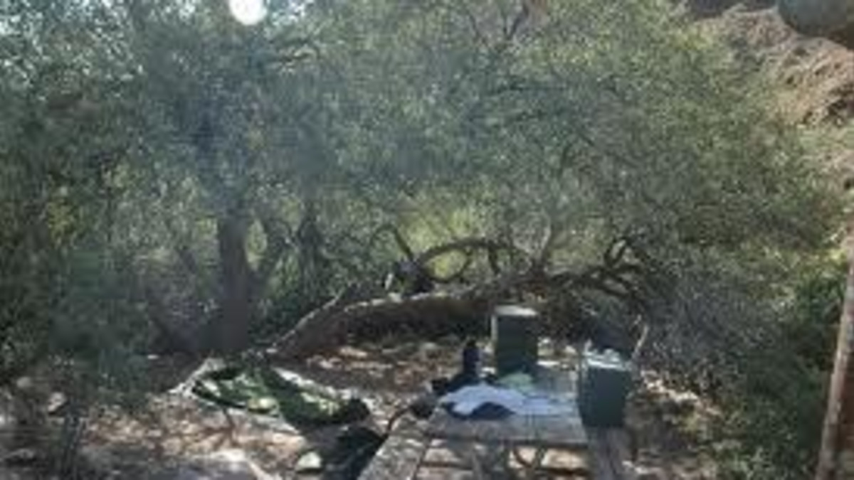 Cottonwood Group Campground Jackson Travel Wyoming. That's WY