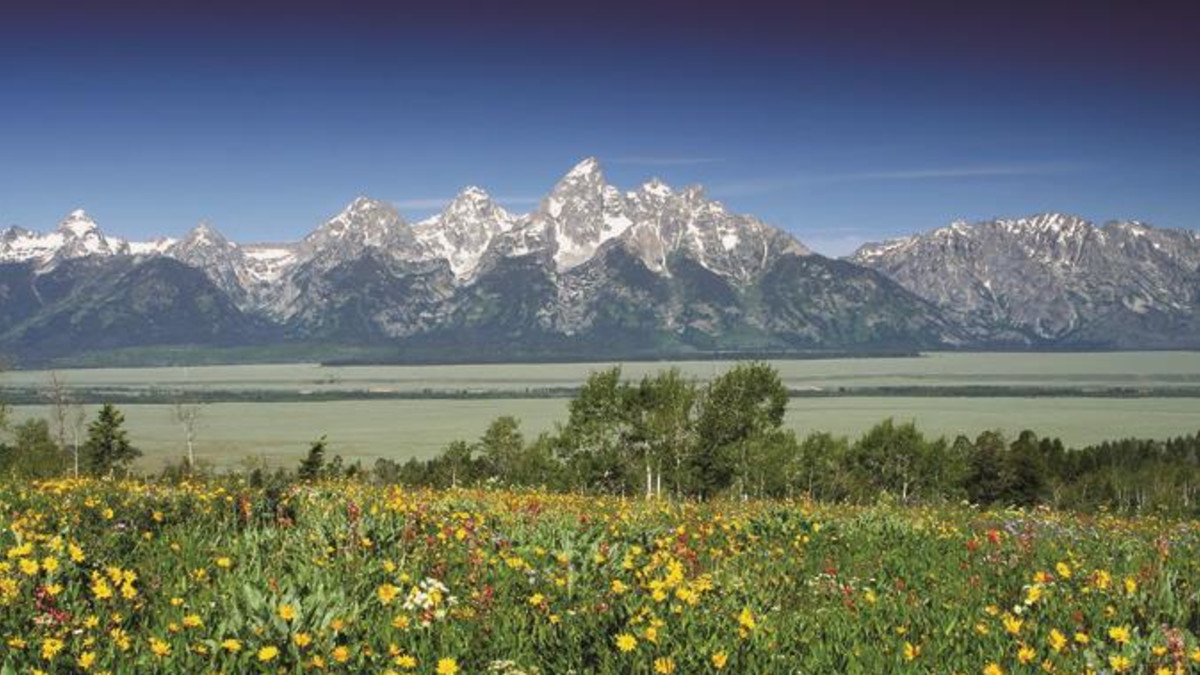 Travel Blog Grand Teton Travel Blog Grand Teton