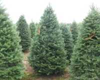 Attractions Michigan