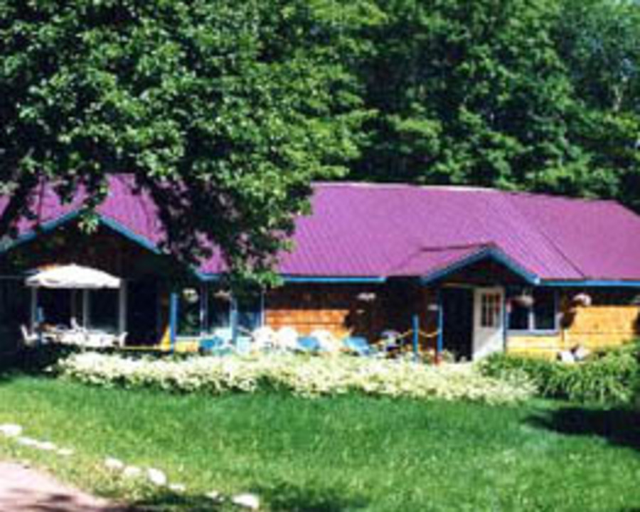 Cabin Cottage Vacation Rentals Properties Michigan