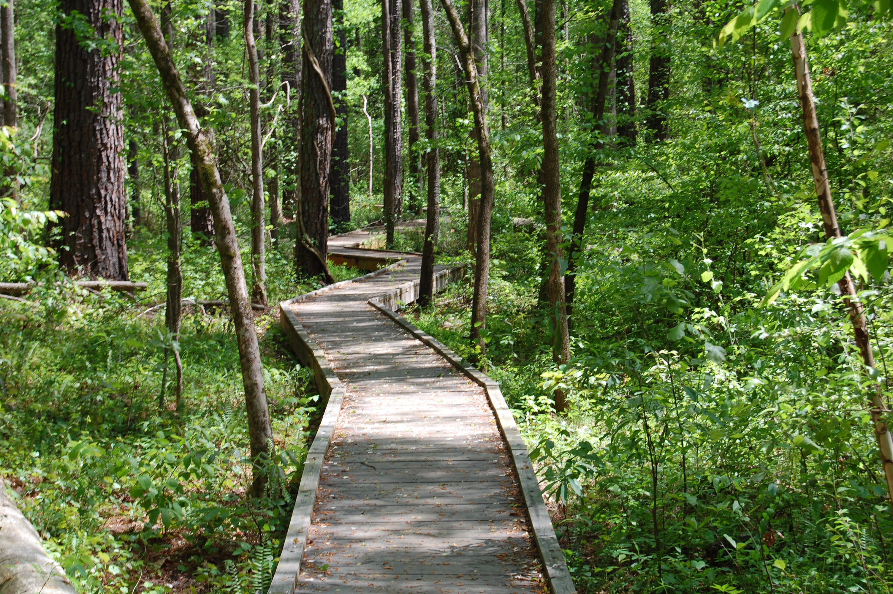 Autrey Mill Nature Preserve And Heritage Center Official Georgia Tourism Travel Website Explore Georgia Org