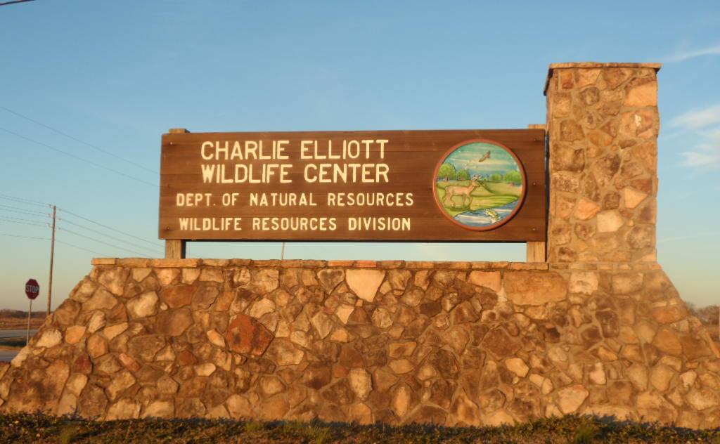 Charlie Elliott Fishing Map Charlie Elliott Wildlife Center | Official Georgia Tourism & Travel Website  | Explore Georgia.org