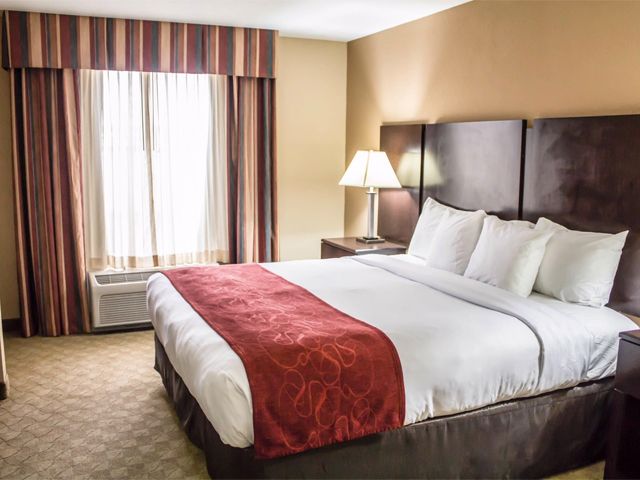 Comfort Suites Brunswick Official Georgia Tourism Travel
