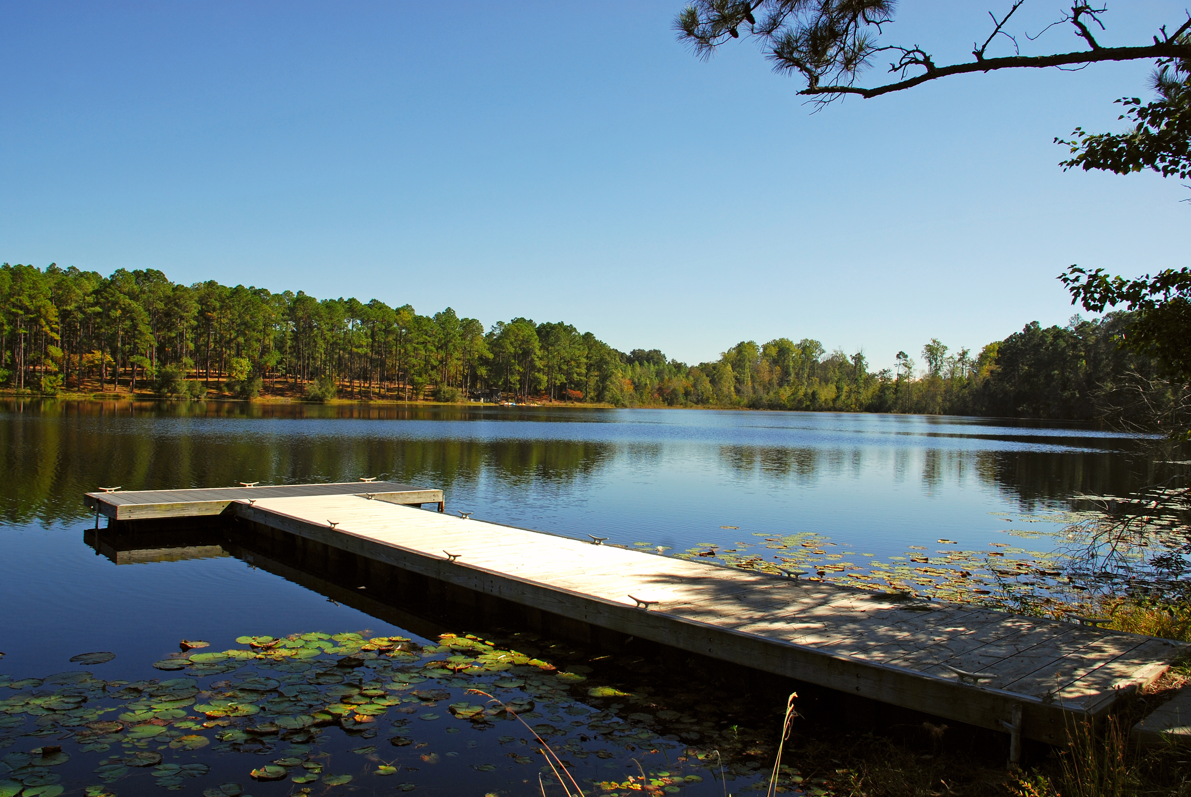 Jack Hill State Park Official Georgia Tourism Travel Website Explore Georgia Org