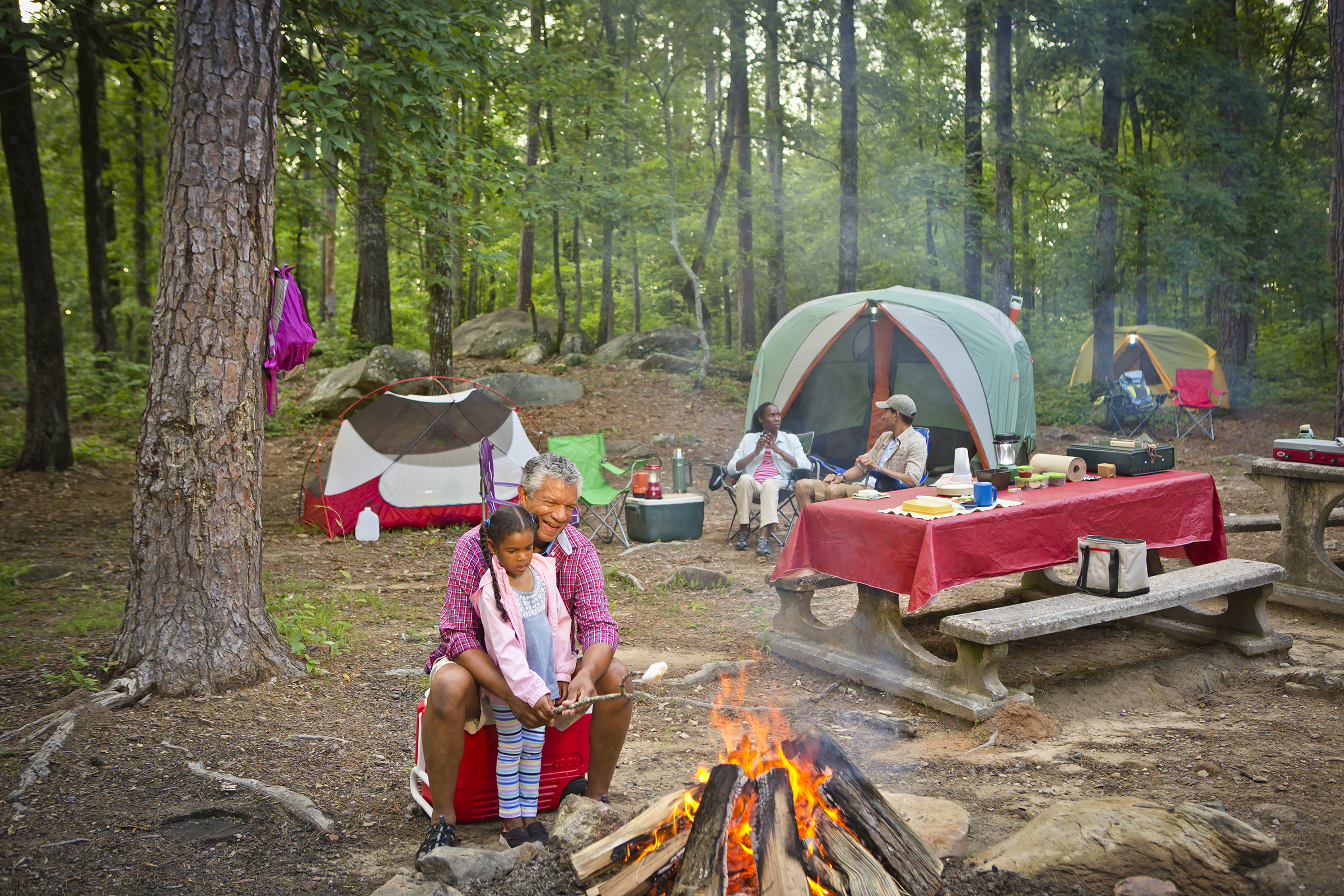 Indian Springs State Park Official Georgia Tourism Travel