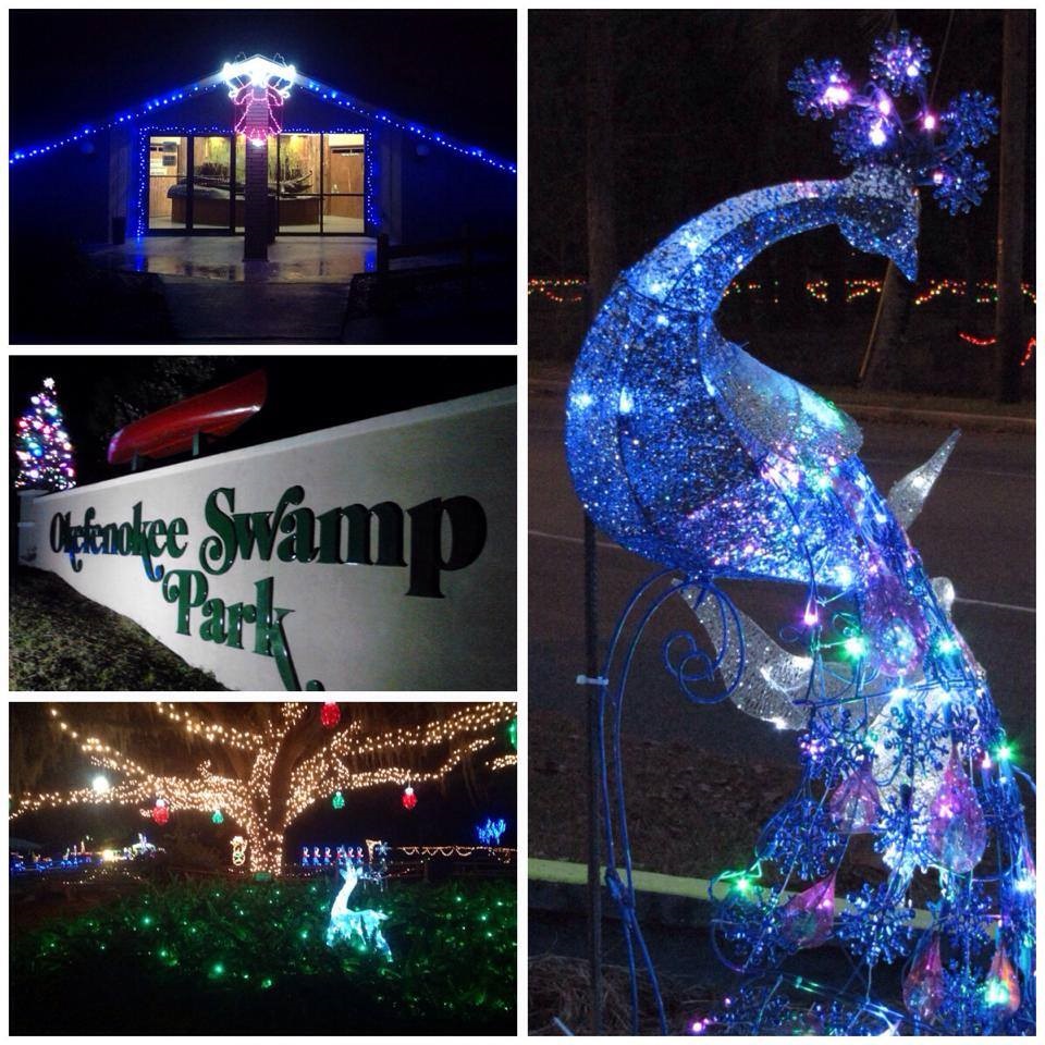 Okefenokee Christmas Lights 2022 Okefenokee Swamp Park | Official Georgia Tourism & Travel Website | Explore  Georgia.org