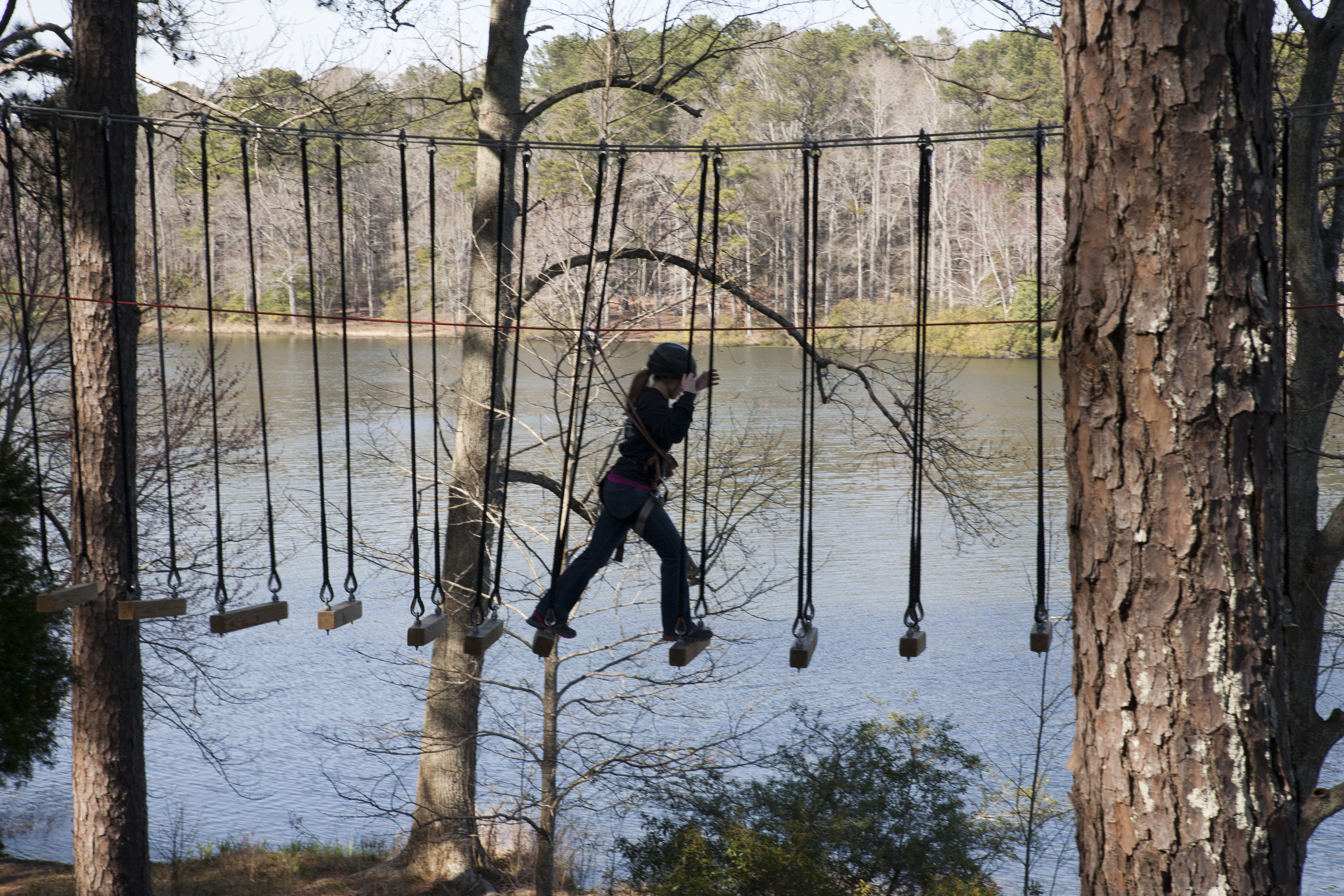 Treetop Adventure At Callaway Gardens Official Georgia Tourism