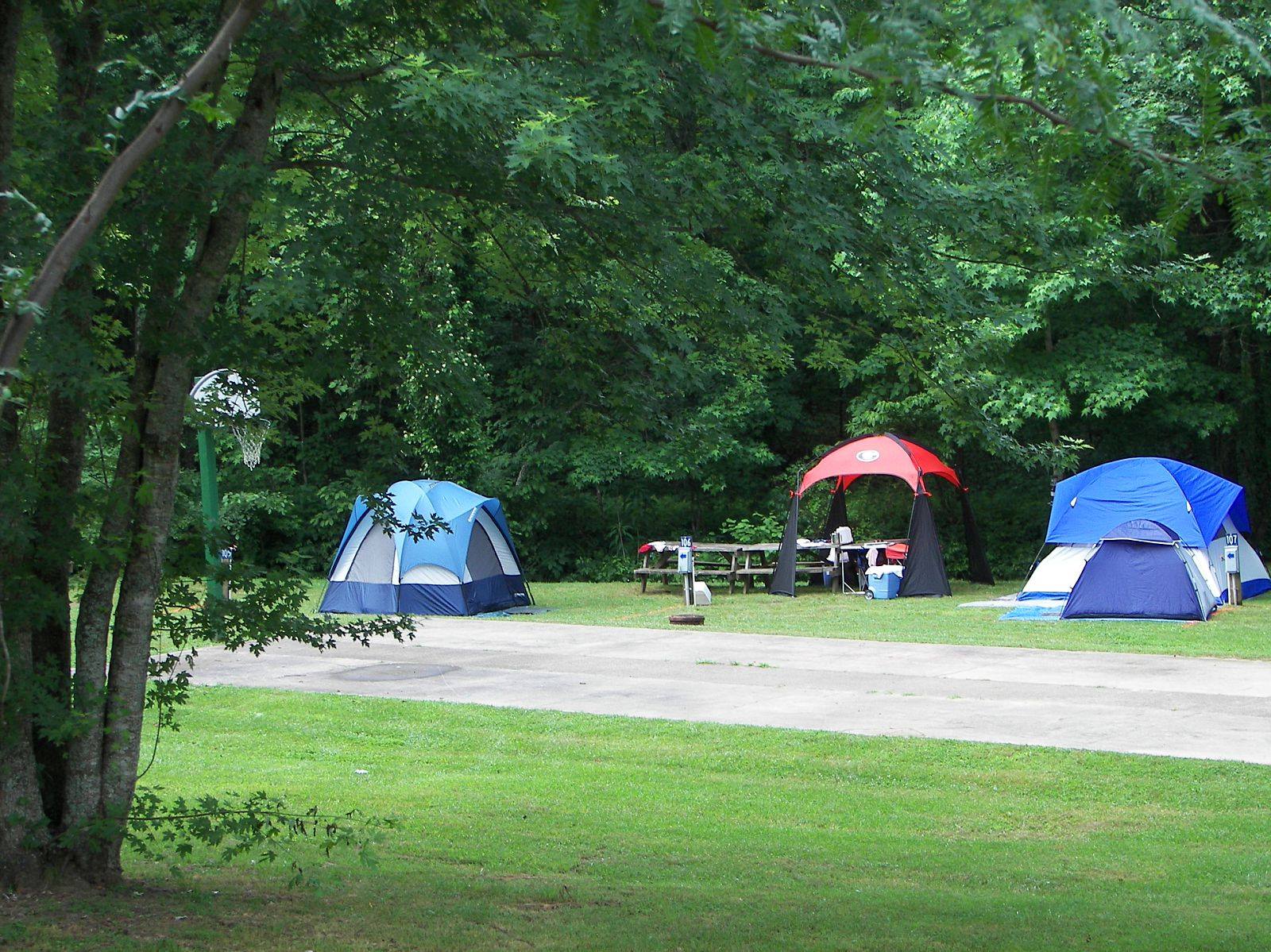 Yonah Mountain Campground Official Georgia Tourism Travel Website Explore Georgia Org