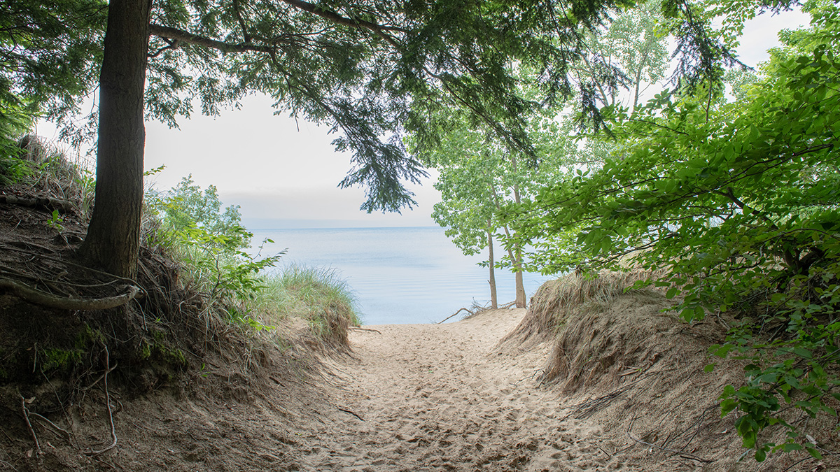 Saugatuck Dunes State Park Trail Map Saugatuck Dunes State Park | Michigan