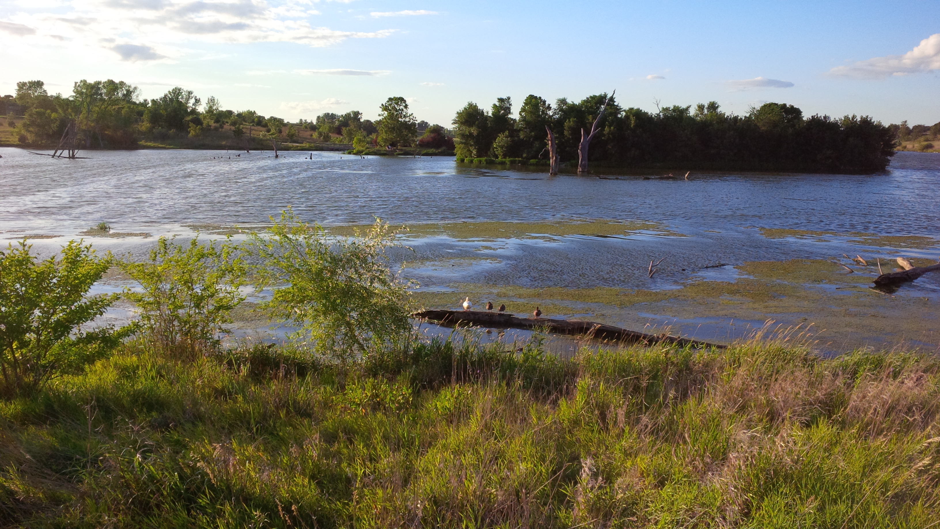 Walnut Creek Lake and Recreation Area (Papillion) | VisitNebraska.com