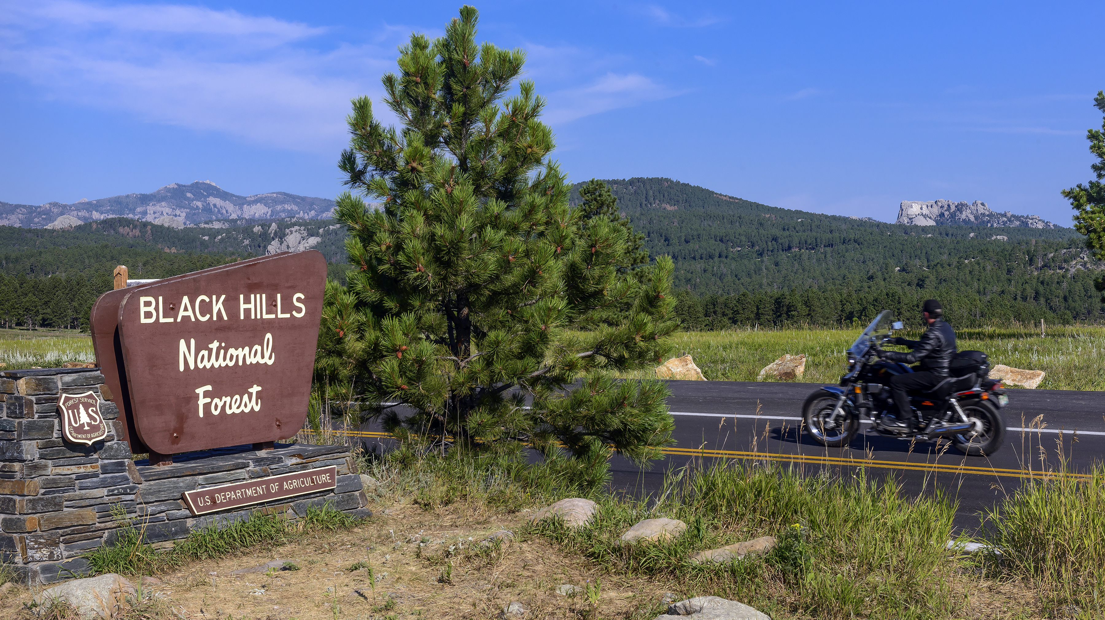 Черные холмы. Black Hills National Forest Вайоминг. Блэк-Хиллс США. 9. Black Hills в Южной Дакоте (100 миль). Блэк Хиллс Южная Дакота институт.