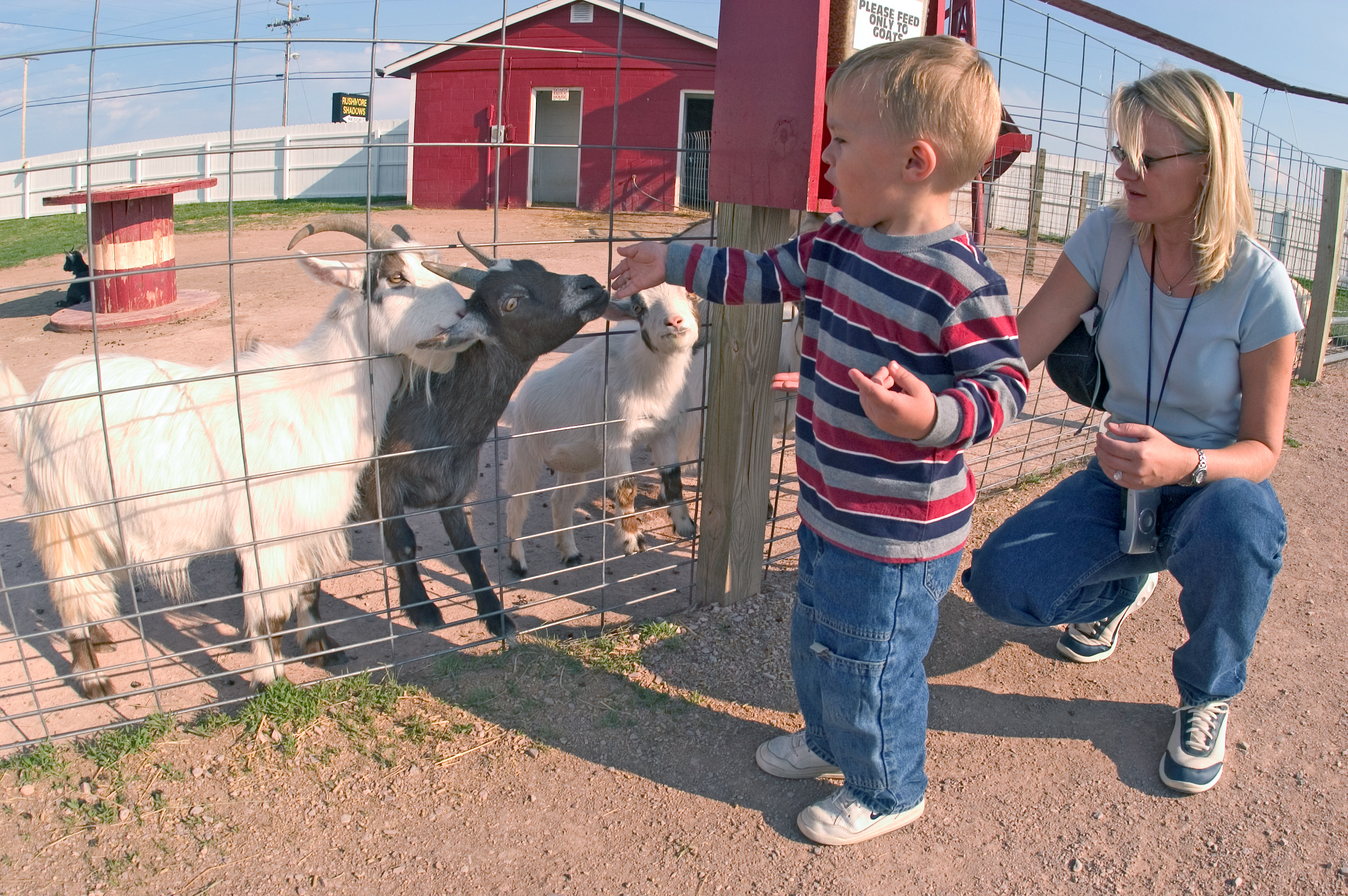 Old Macdonald S Farm Travel South Dakota