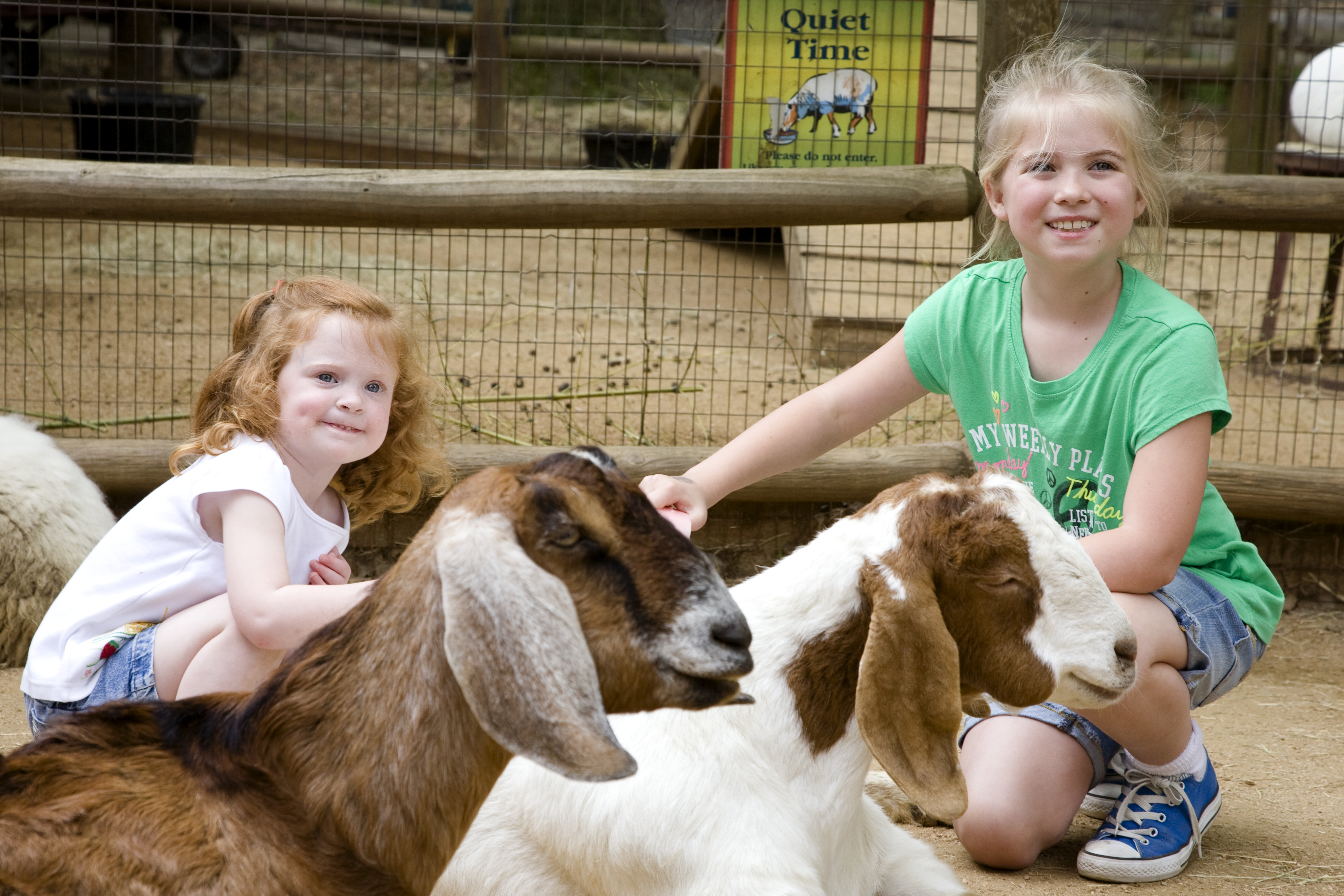 Smart Tips For Visiting Zoo Atlanta Kindly Unspoken
