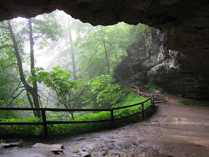 are dogs allowed at natural bridge ky