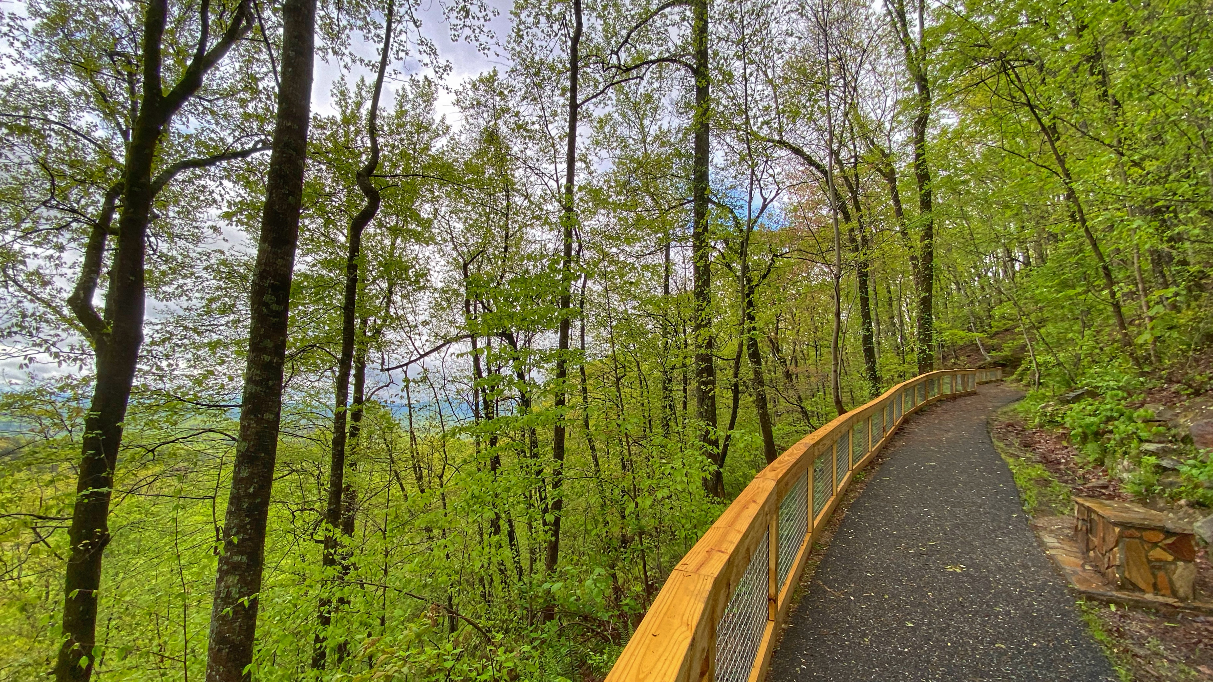 Amicalola Falls Hiking Trails Amicalola Falls State Park & Lodge | Official Georgia Tourism & Travel  Website | Explore Georgia.org