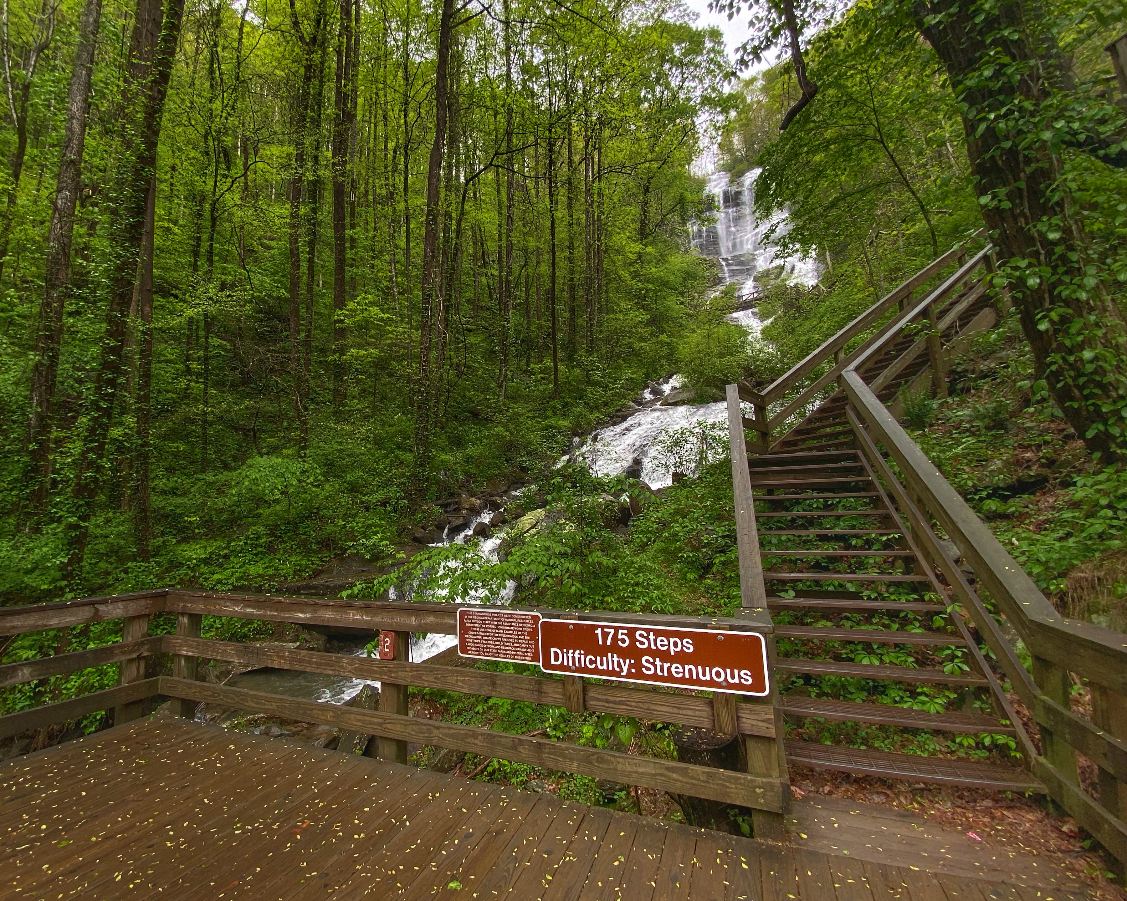 Amicalola Falls Hiking Trails Amicalola Falls State Park & Lodge | Official Georgia Tourism & Travel  Website | Explore Georgia.org