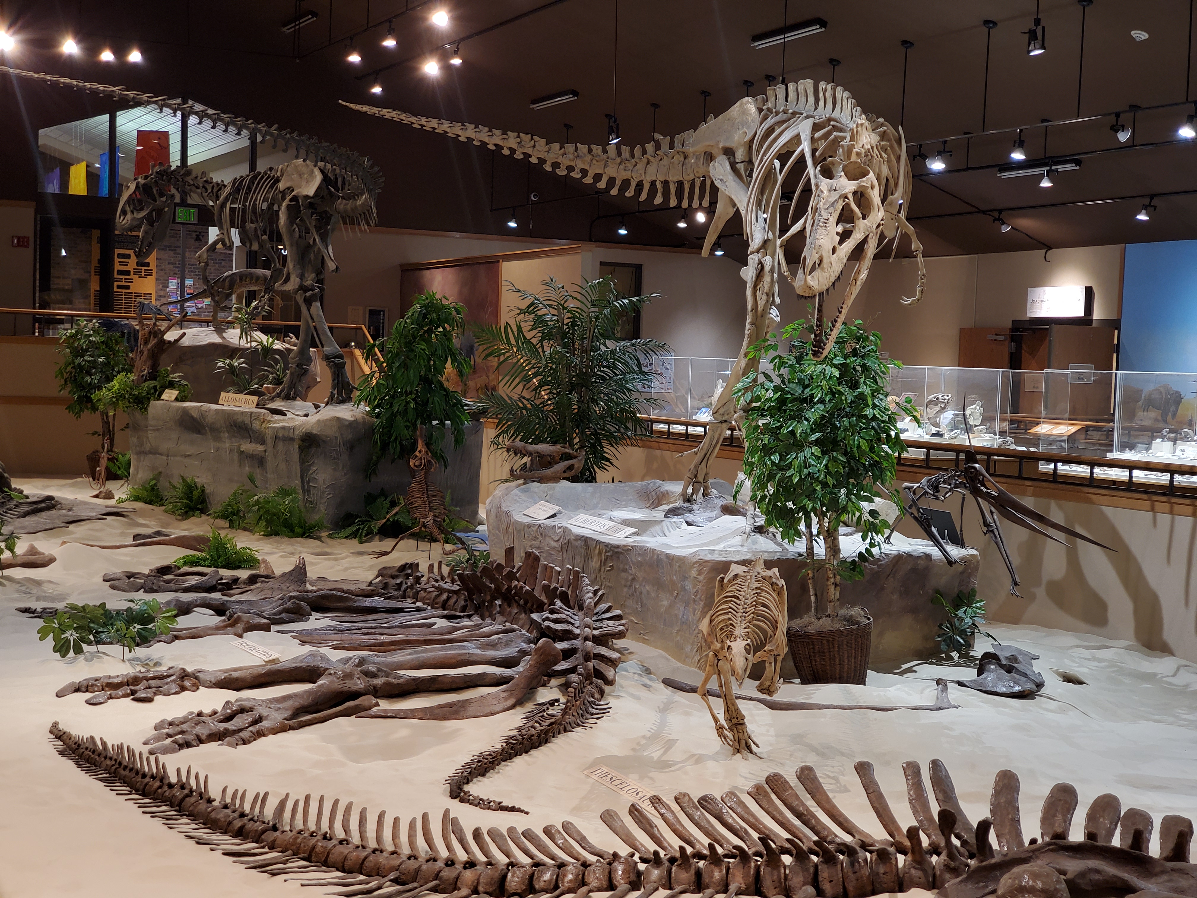 Dickinson Museum Center | Official North Dakota Travel & Tourism Guide