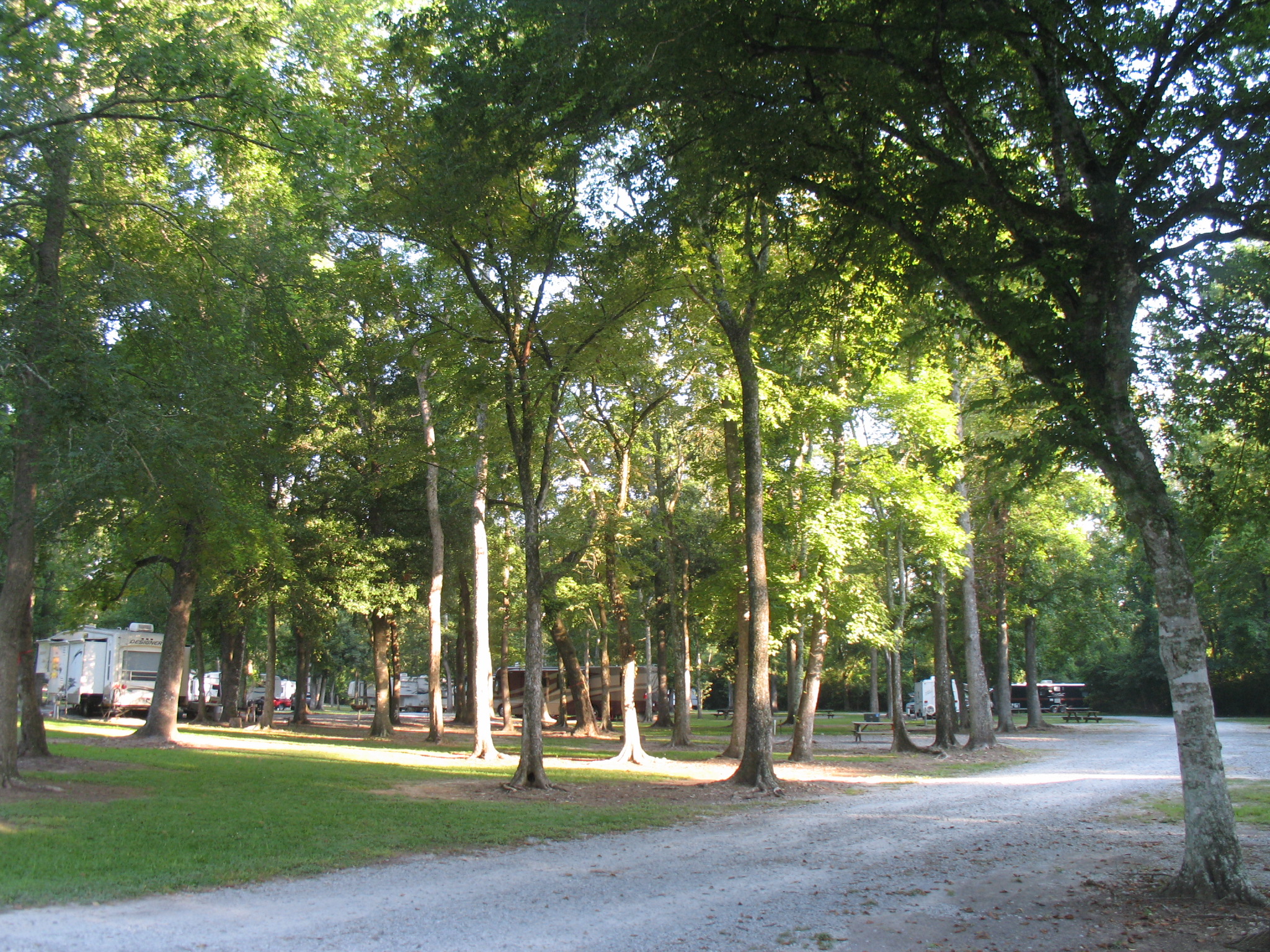 Abbeville RV Park - Photo 3