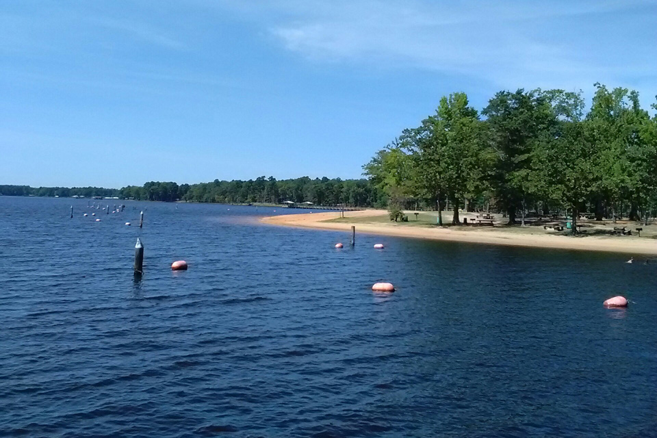 Cypress Black Bayou photo 4