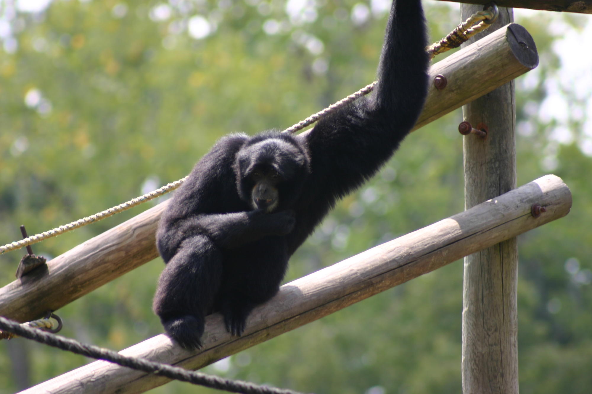 Louisiana Purchase Gardens and Zoo