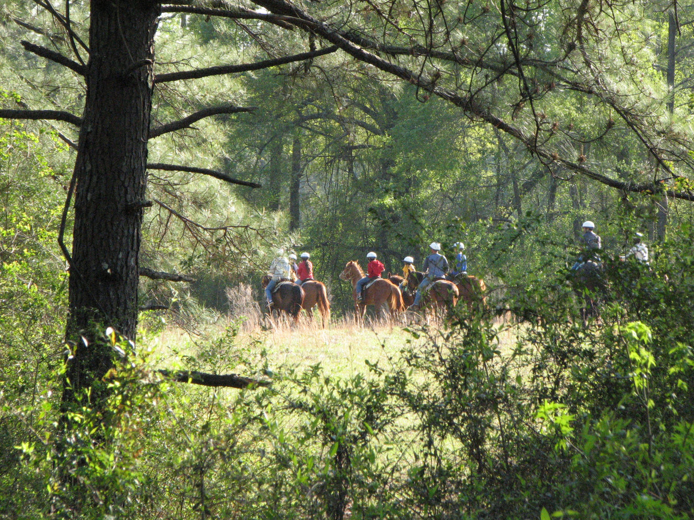 Sweetwater RV Ranch photo 5