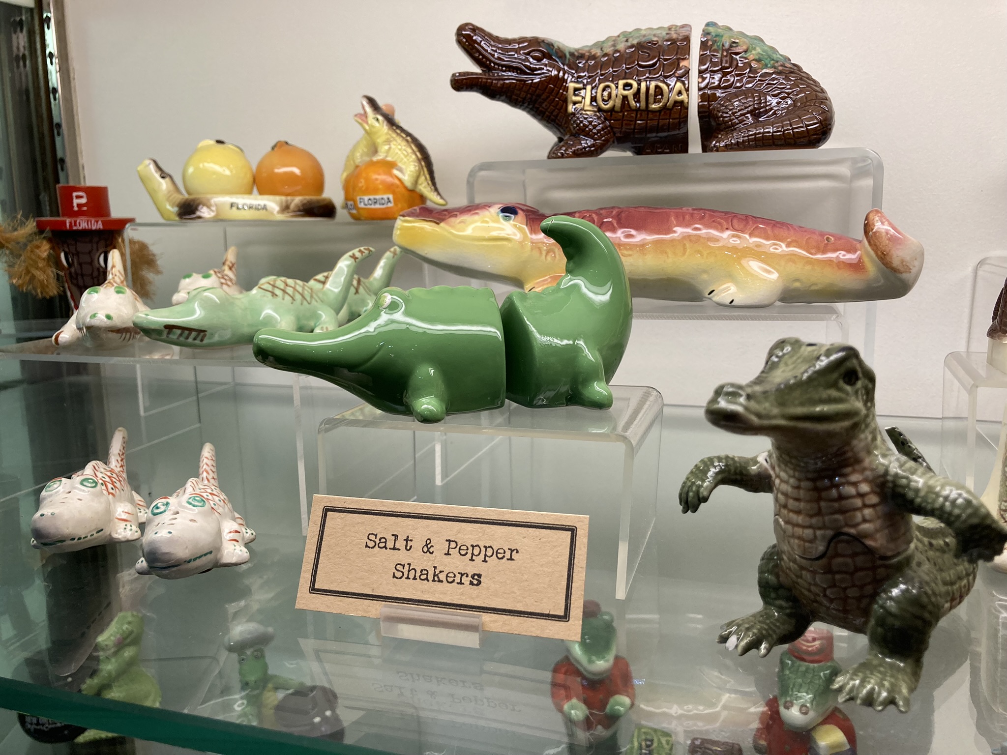 The Great American Alligator Museum | Explore Louisiana